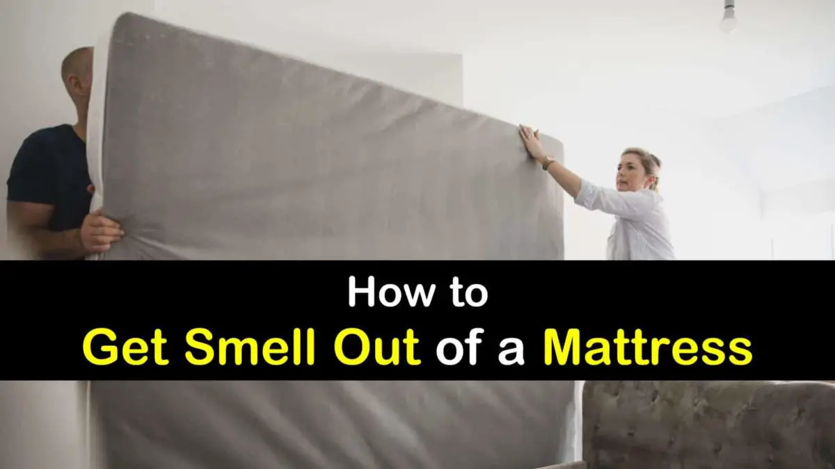 4+ Clever Ways to Get Smell Out of a Mattress