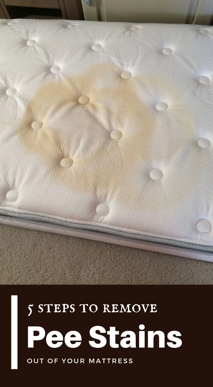 5 Steps To Remove Pee Stains Out Of Your Mattress ...
