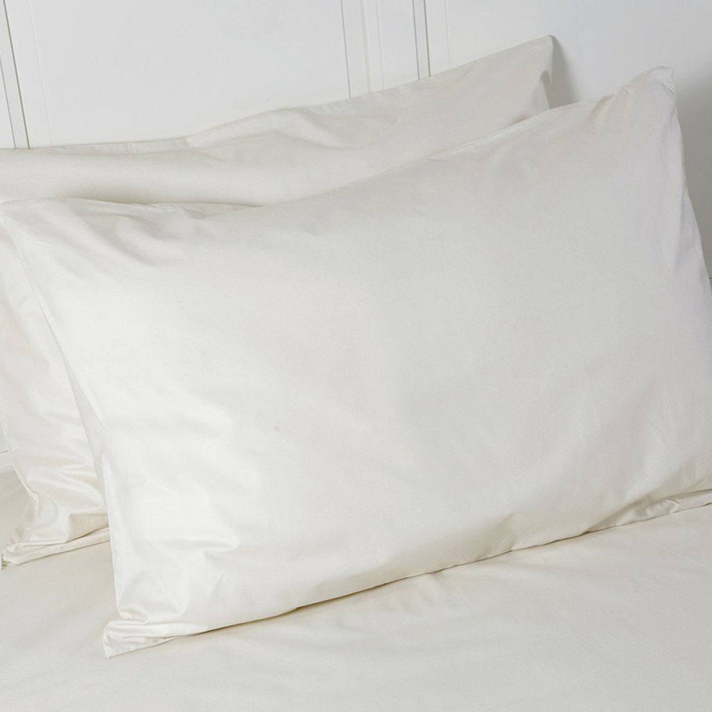 Allergen and Dustmite Proof Covers for Pillows  Allergy Best Buys