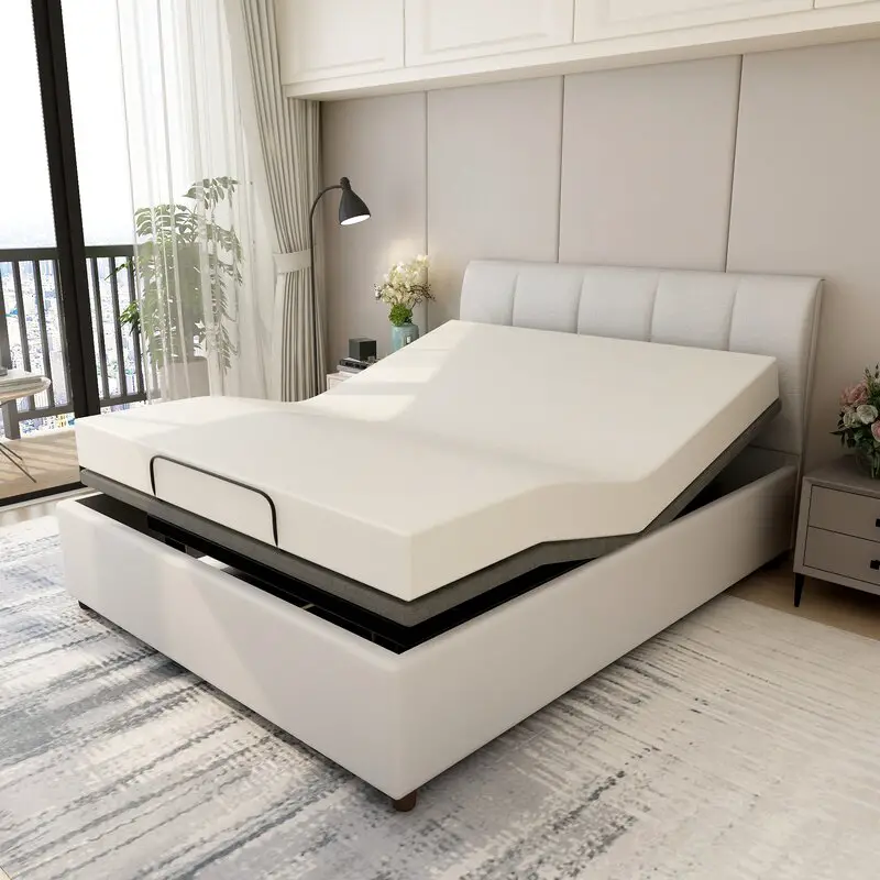 Alwyn Home Mobley Zero Gravity Adjustable Bed with Wireless Remote ...