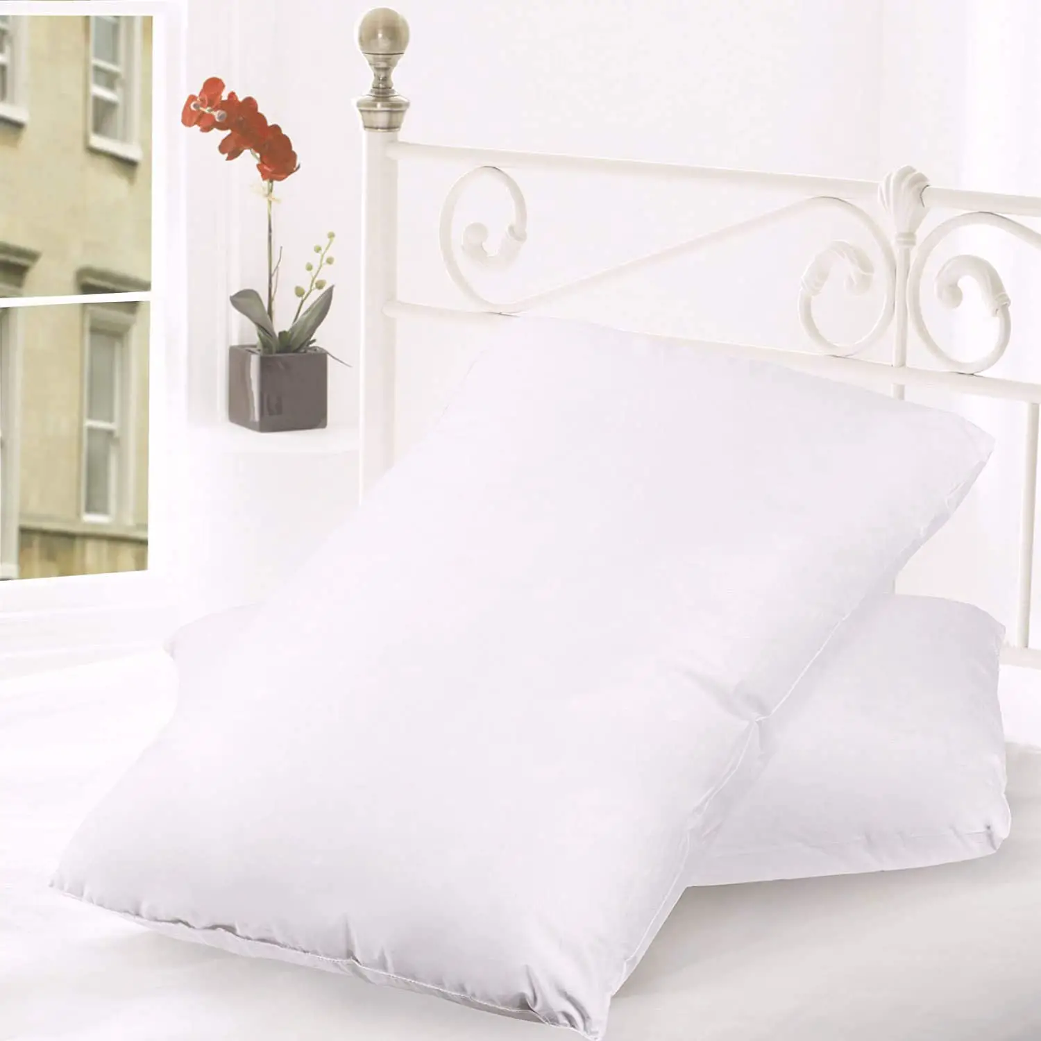 Amazon.com: Down Pillow Set of 2 100% Goose Feather Pillows Premium ...