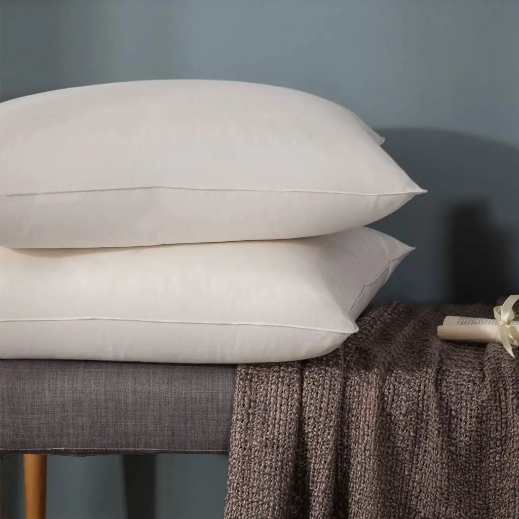 Amazon: Set of 2 Queen Size Pillow for $18.00 (Reg.Price $44.99) after ...