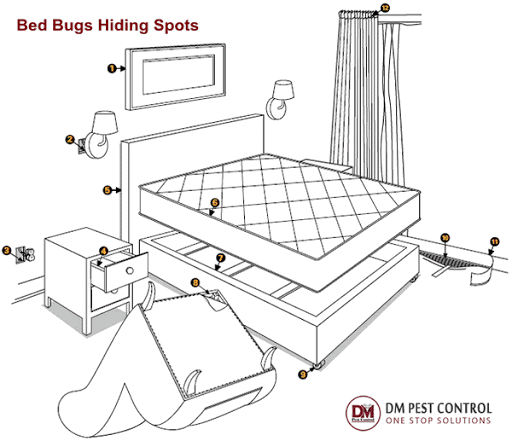 Austin Bed Bug Treatment