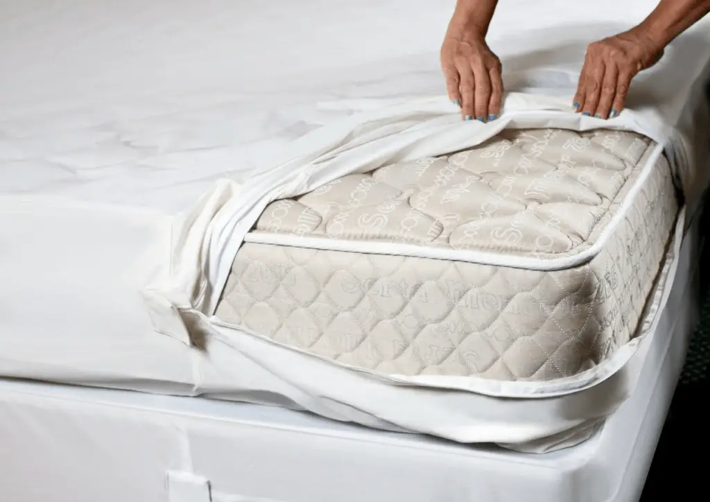 Bed Bug Mattress Covers: What You Need to Know  Stacyknows