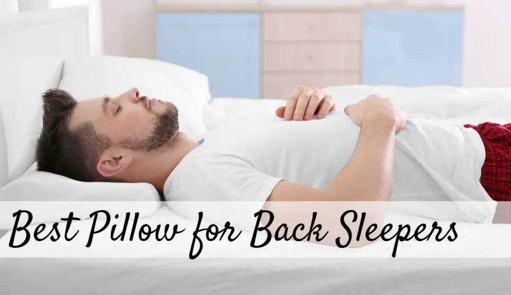 Best Back Sleepers Pillows