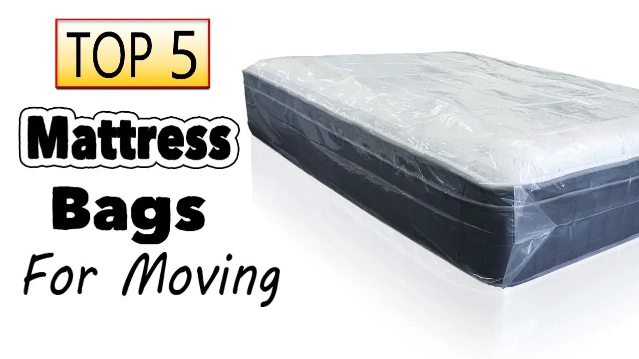 Best Mattress Bags For Moving and Storage Queen King Full ...