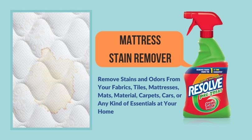Best Mattress Stain Remover and Odor Eliminator 2020