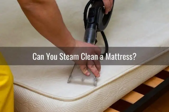 Can You Carpet Clean a Mattress?