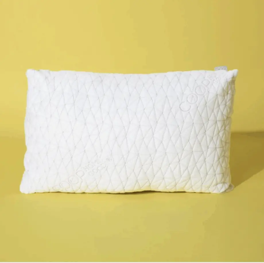Coop Home Goods Original Pillow Review (2020)