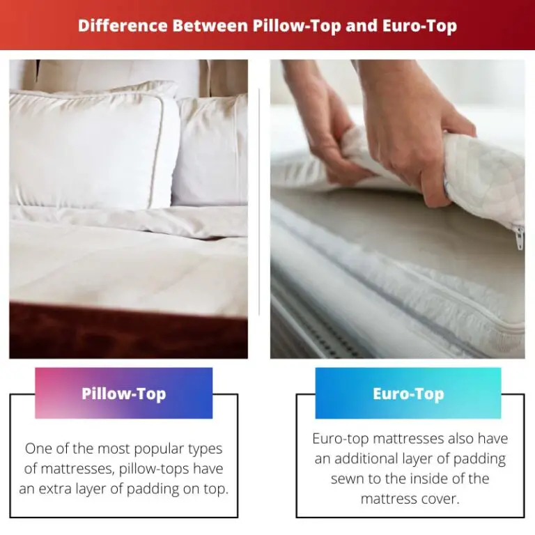 Difference Between Pillow