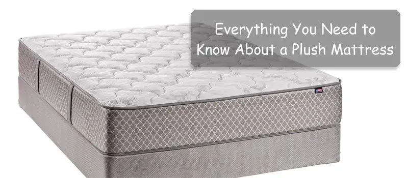 Everything You Need to Know About a Plush Mattress