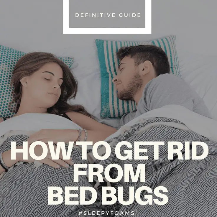 Getting rid from bed bugs is very serious issue. This definitive guide ...