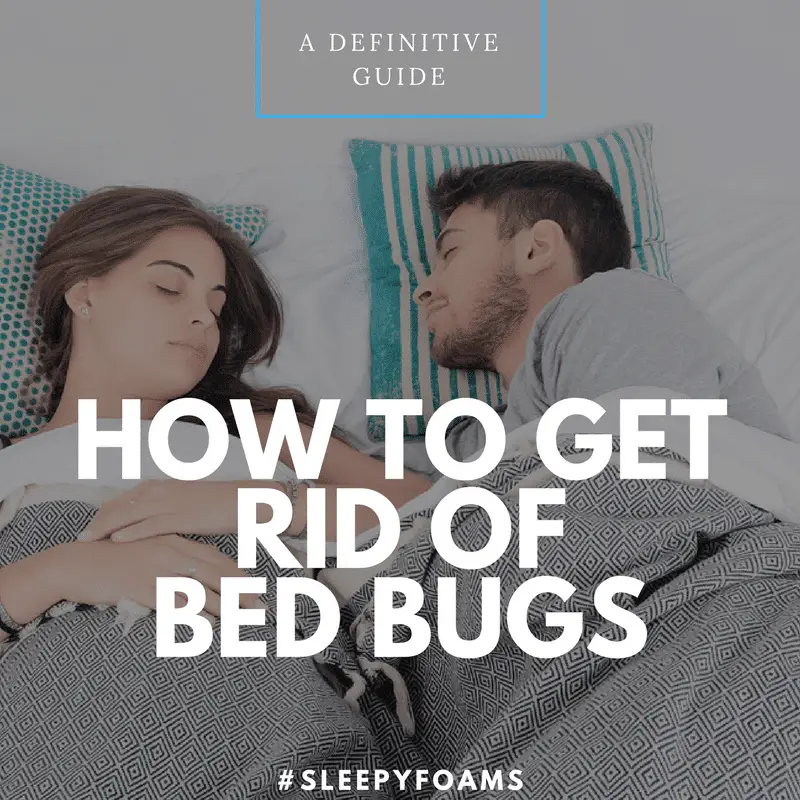 Getting rid from bed bugs is very serious issue. This definitive guide ...