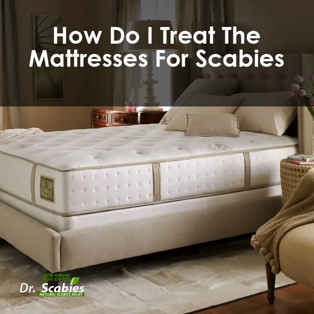 How do I treat the Mattresses for Scabies?