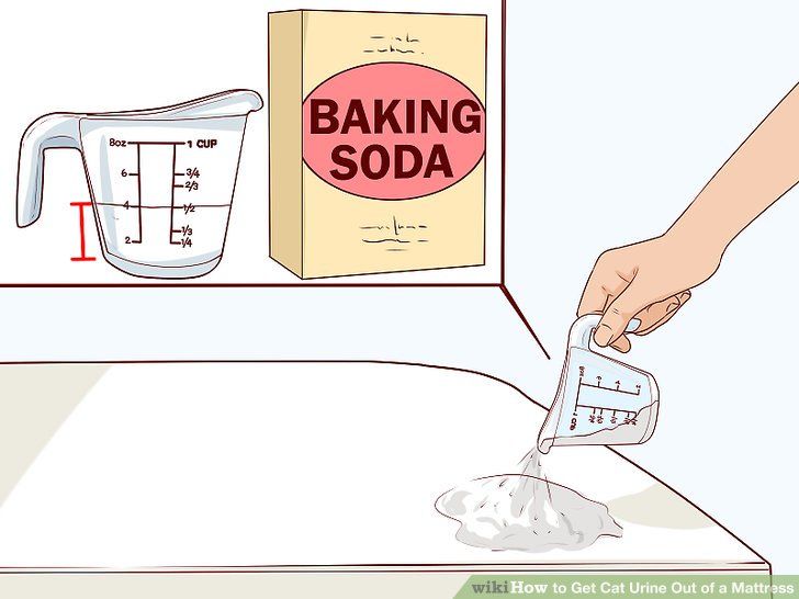 How to Get Cat Urine Out of a Mattress