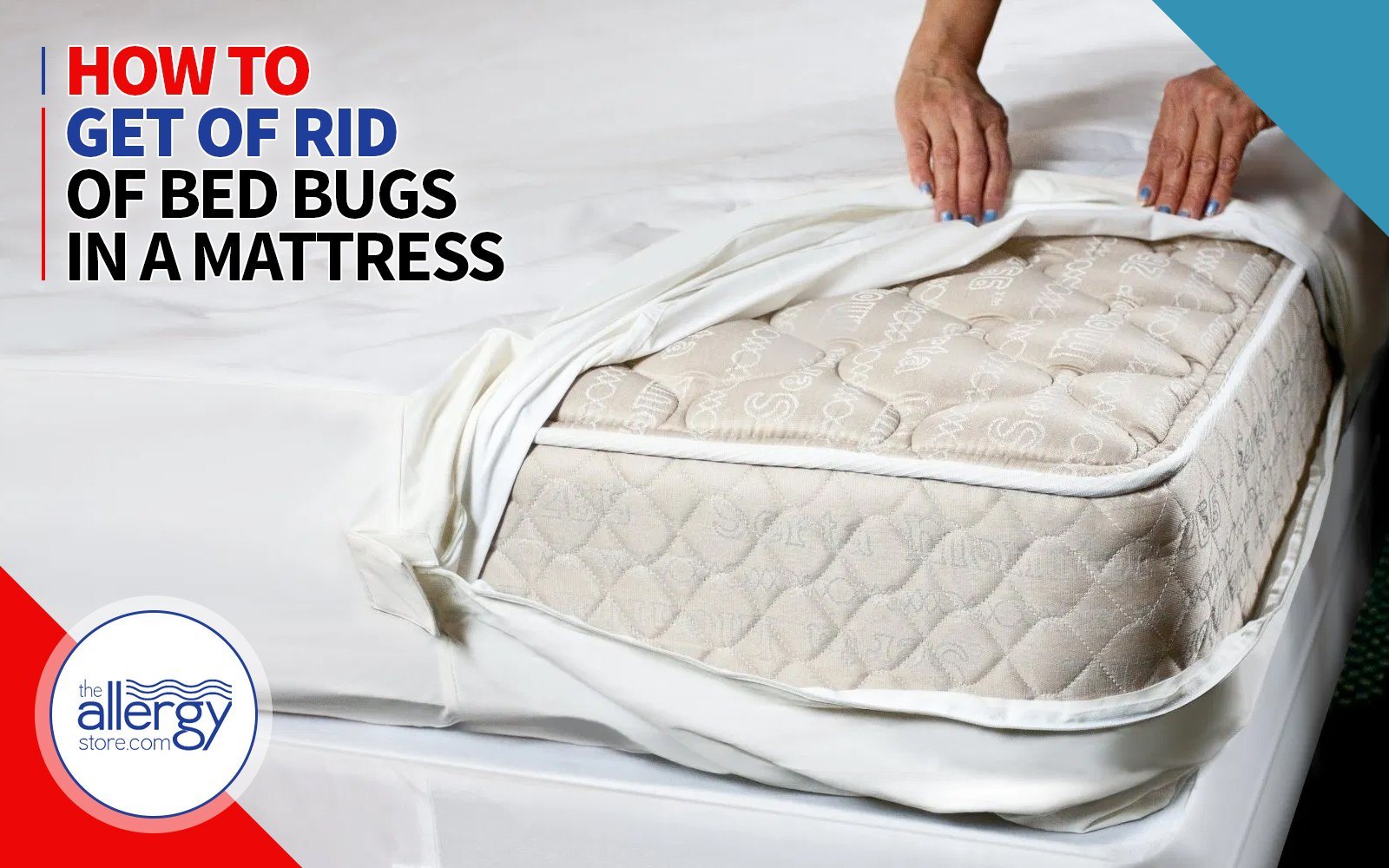 How to Get of Rid of Bed Bugs in a Mattress