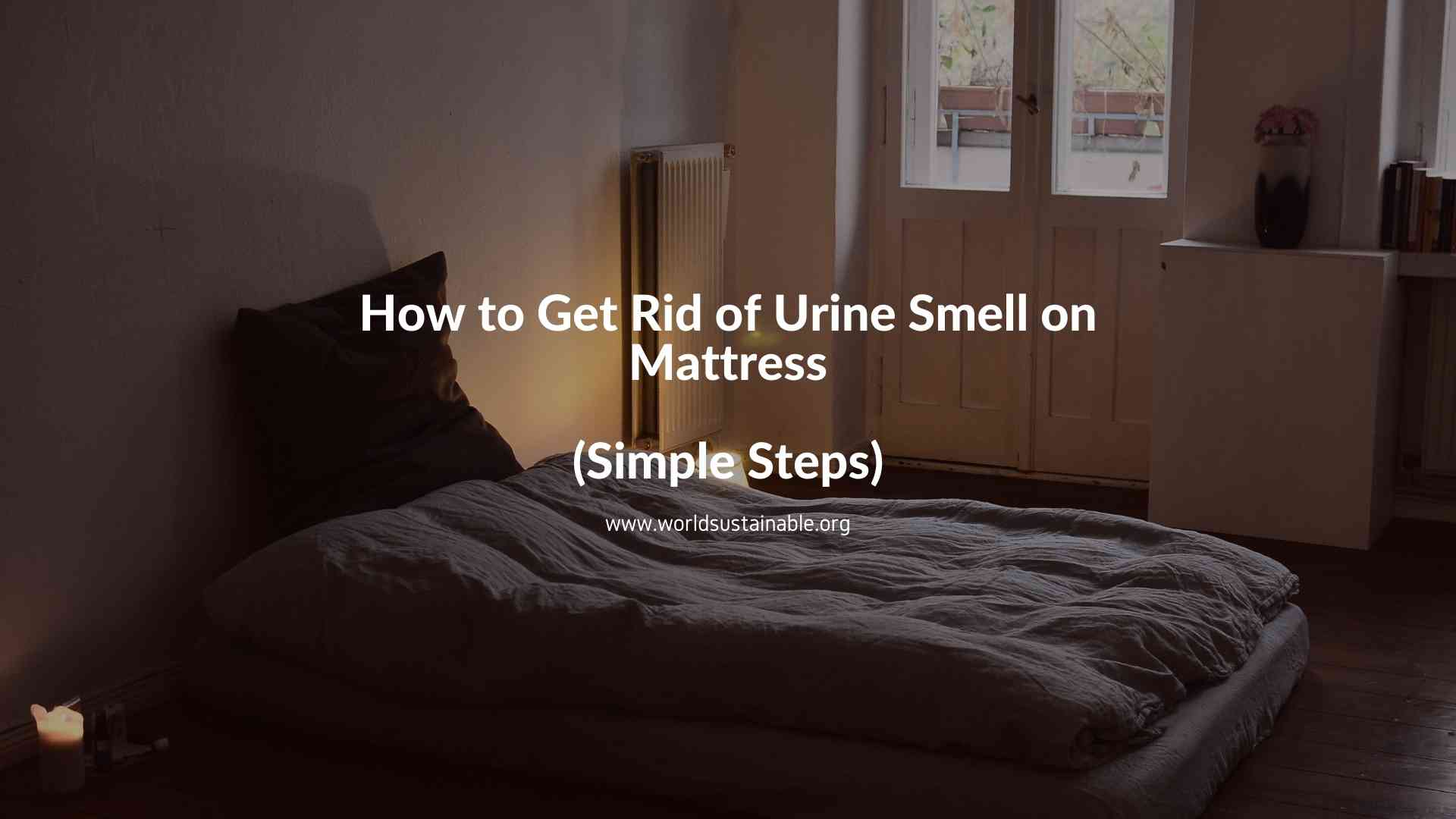 How to Get Rid of Urine Smell on Mattress: 11 Ways ...