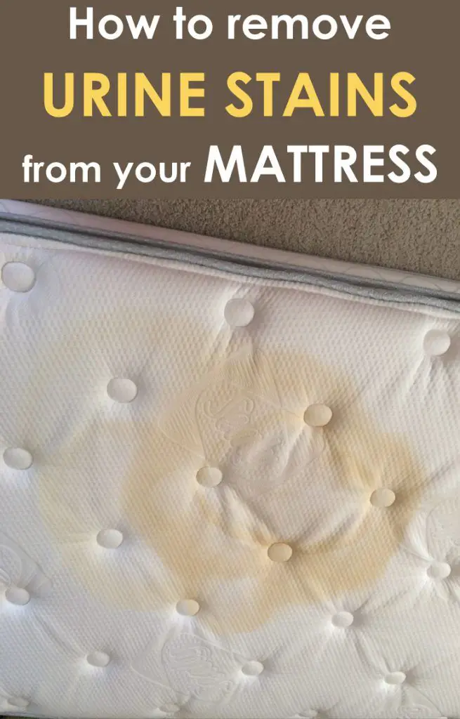 How to remove urine stains from your mattress (With images ...