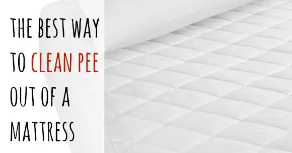 ow to get pee out of mattress