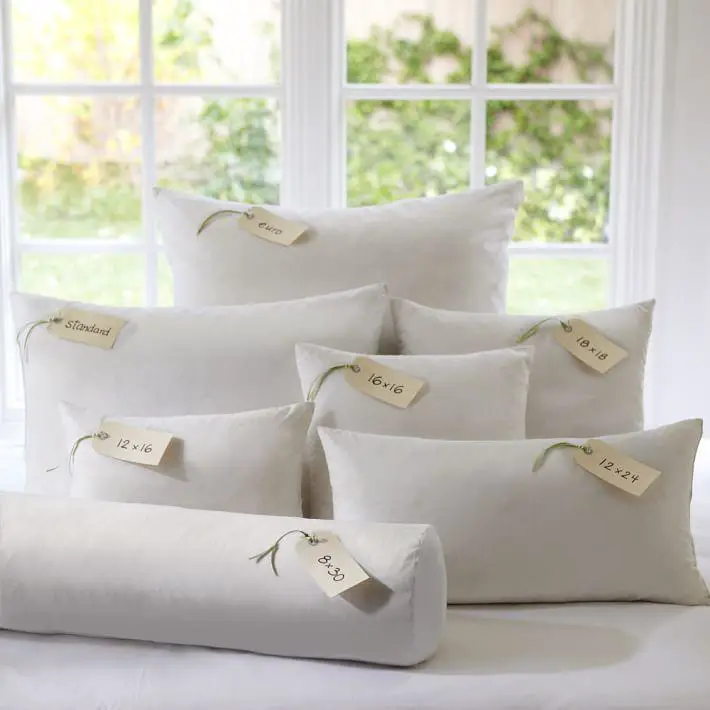 Pottery Barn 18x18 Feather Down Pillow Insert for $4.79 Shipped