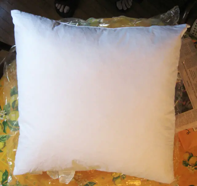 Pottery Barn 24"  x 24"  Square Feather Pillow Insert