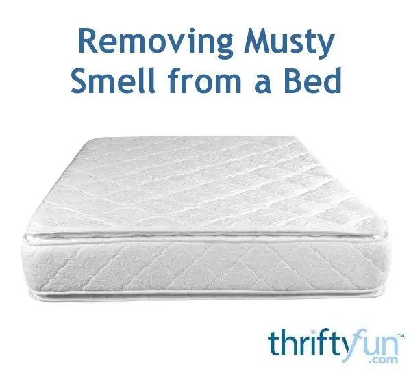 Removing Musty Smell from a Bed?