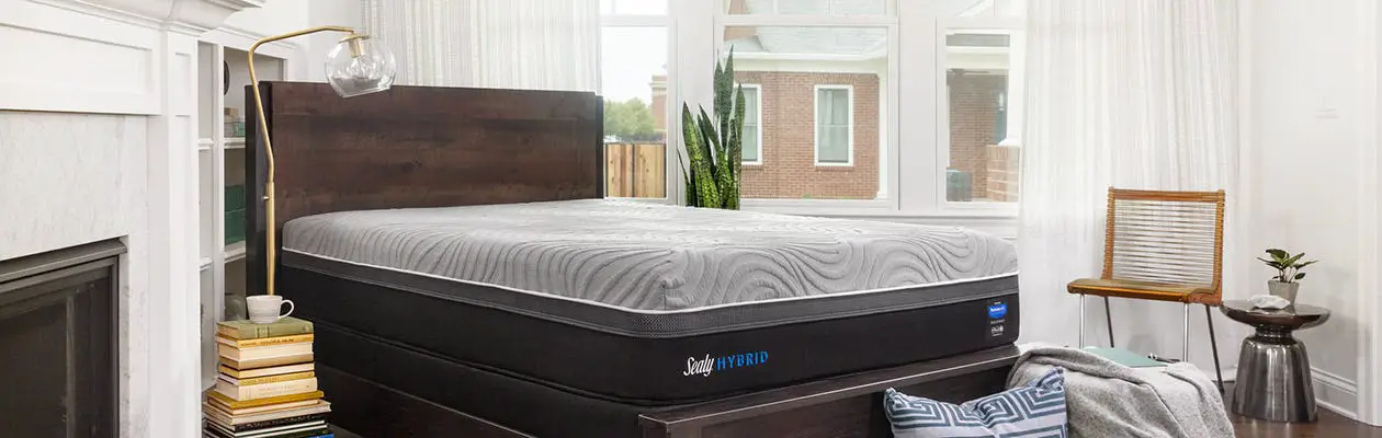 Sealy Mattresses Review