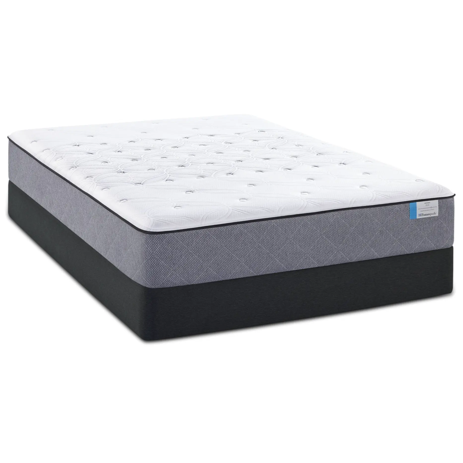 Sealy Posturepedic A2 Twin Extra Long Plush Tight Top Mattress and High ...