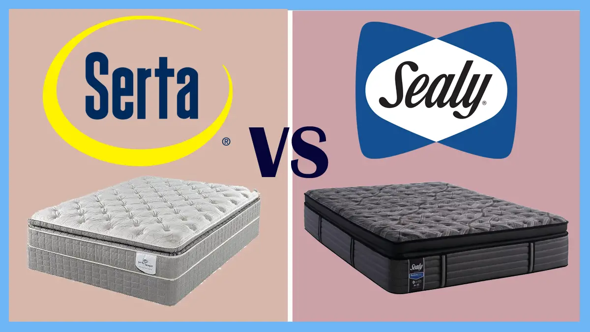 Serta vs Sealy Mattress