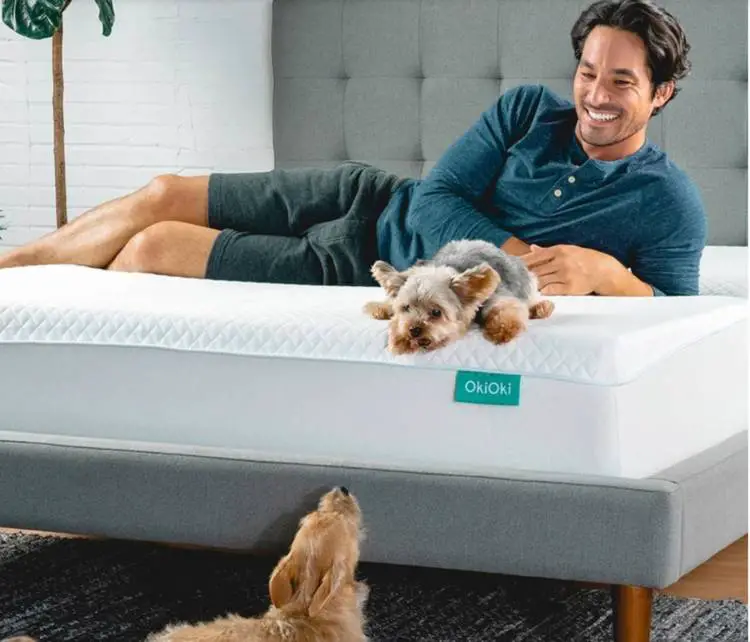 The Best Mattress for College Students